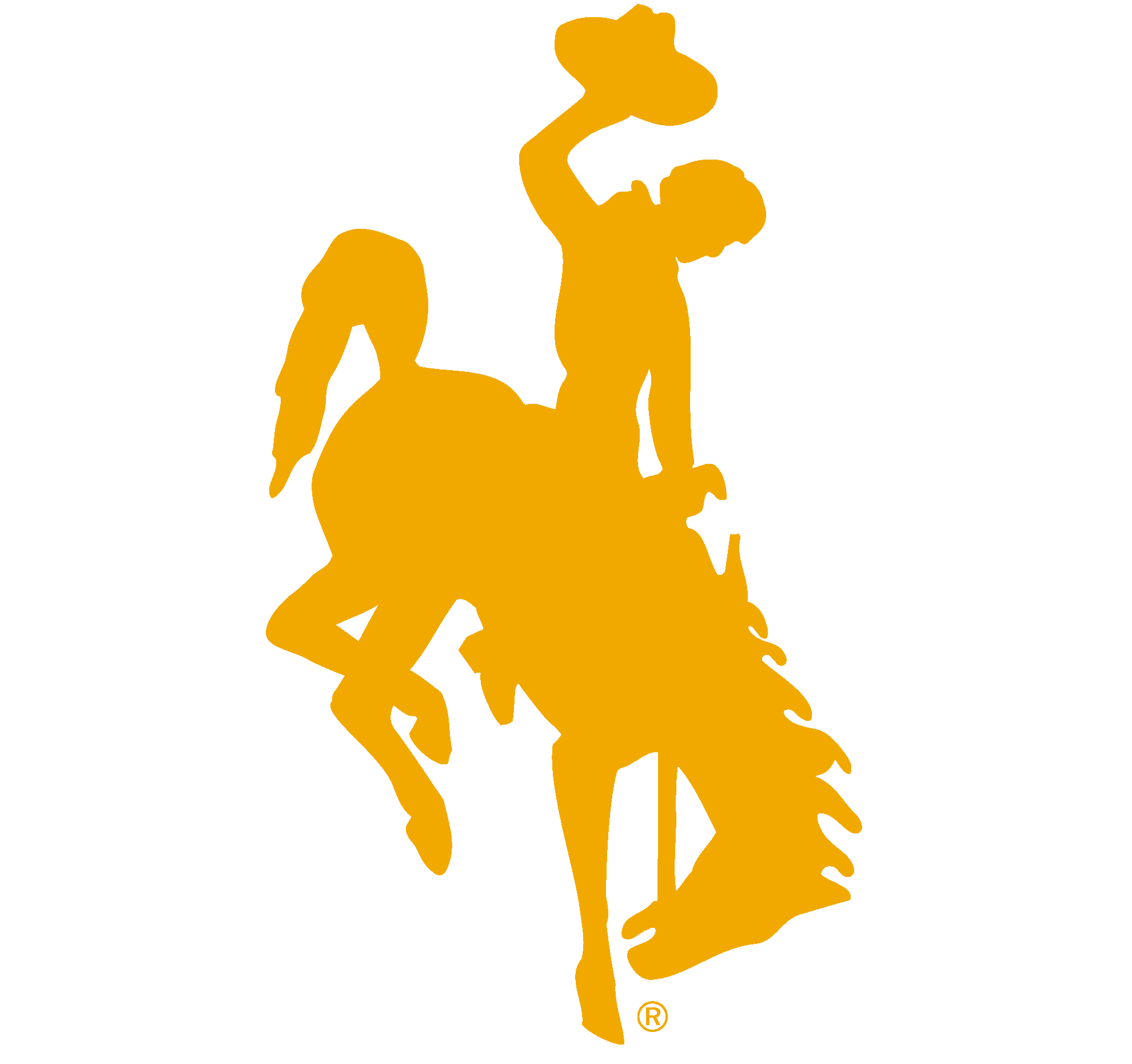 University of Wyoming